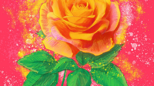 Fête des Roses 2023