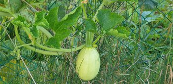 Les Jardins de Lasserre