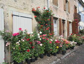 Fête des Roses 2019